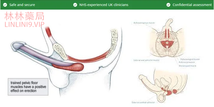 1716391746914464.png image.png